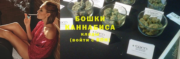 хмурый Карпинск