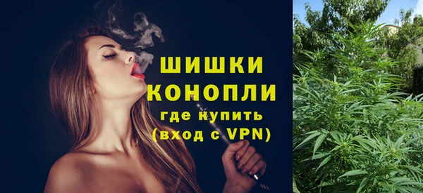хмурый Карпинск