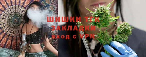 хмурый Карпинск