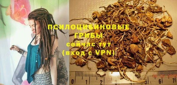 хмурый Карпинск