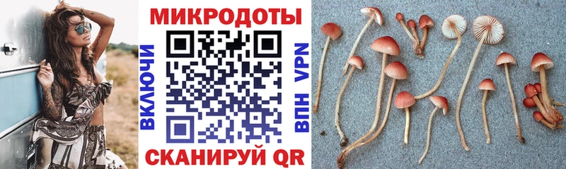 Купить закладки  Анжеро-Судженск  Псилоцибиновые грибы ЛСД 